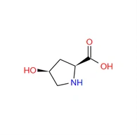 CAS: 618-27-9|Cis-4-Hydroxy-L-proline